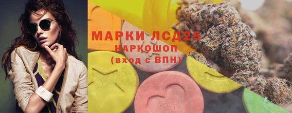 амф Шали