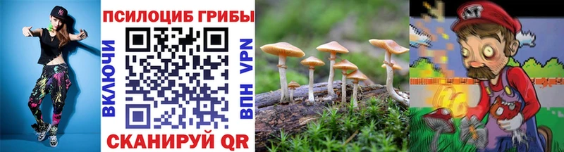 Галлюциногенные грибы MAGIC MUSHROOMS Камызяк